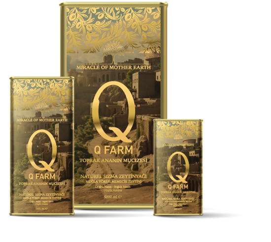Q Farm Doğru Hasat Zeytinyağları