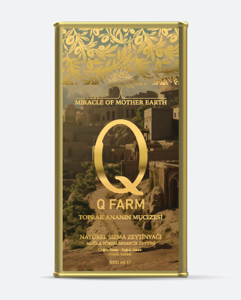 Q FARM DOĞRU HASAT ZEYTİNYAĞLARI