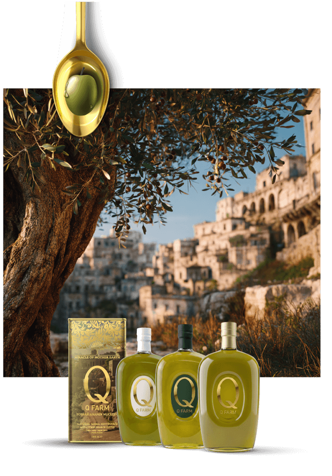 Q Farm Zeytinyağları - Yüksek polifenol